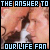 The Answer to Our Life Fan